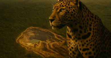 Cobre Panamá — El oro rojo que hipotecó el futuro Cobre Panamá — El oro rojo que hipotecó el futuro